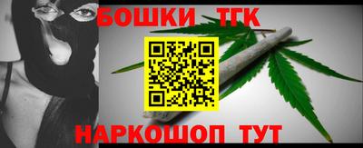 дмт Славгород