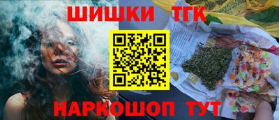 дмт Славгород