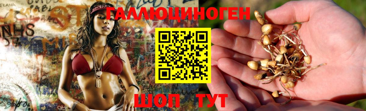 Приморско-Ахтарск  Псилоцибиновые грибы MAGIC MUSHROOMS  Вход с VPN 