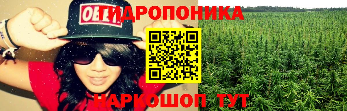 МАРИХУАНА сатива  Бошки Шишки конопля  Вход с VPN  Приморско-Ахтарск  МАРИХУАНА сатива 